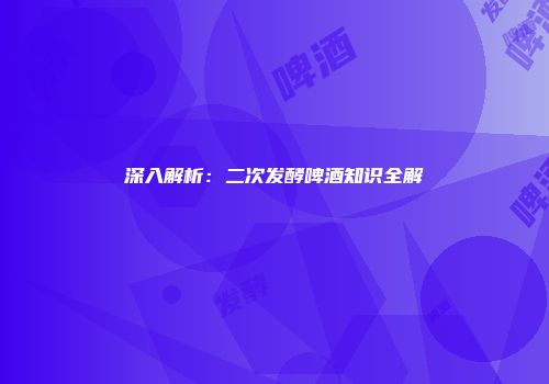深入解析：二次发酵啤酒知识全解