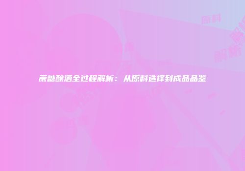蔗糖酿酒全过程解析：从原料选择到成品品鉴