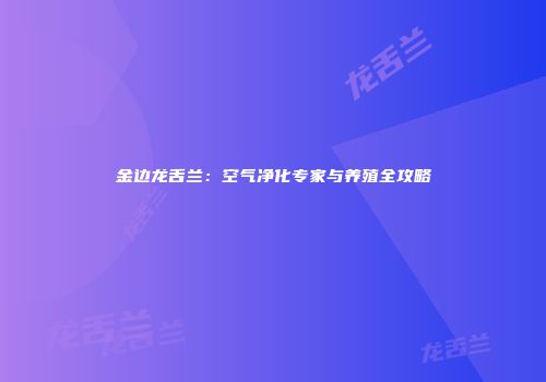 金边龙舌兰：空气净化专家与养殖全攻略