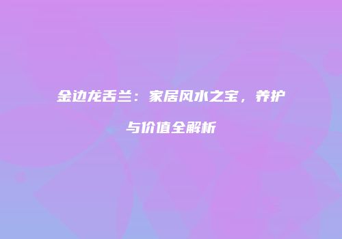 金边龙舌兰：家居风水之宝，养护与价值全解析