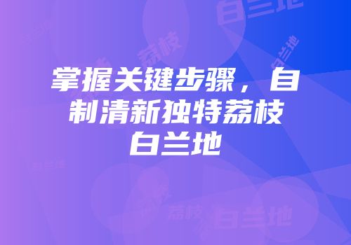 掌握关键步骤，自制清新独特荔枝白兰地
