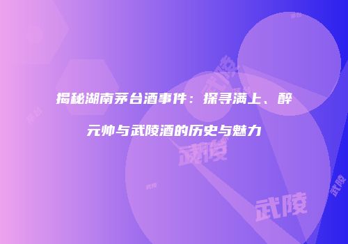 揭秘湖南茅台酒事件：探寻满上、醉元帅与武陵酒的历史与魅力