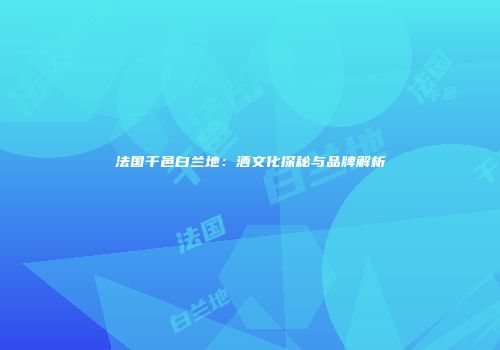 法国干邑白兰地：酒文化探秘与品牌解析