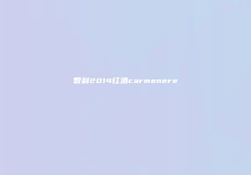 智利2014红酒carmenere