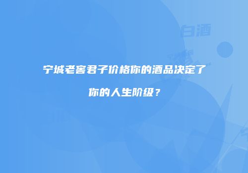 宁城老窖君子价格你的酒品决定了你的人生阶级？
