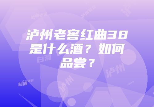 泸州老窖红曲38是什么酒？如何品尝？