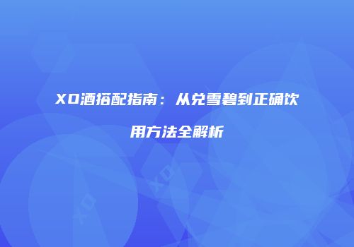 XO酒搭配指南：从兑雪碧到正确饮用方法全解析