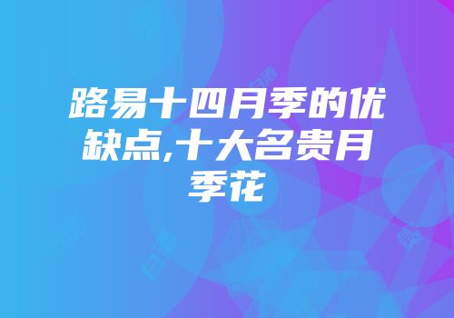 路易十四月季的优缺点,十大名贵月季花