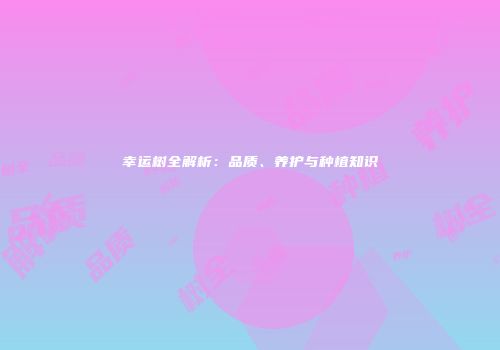 幸运树全解析：品质、养护与种植知识