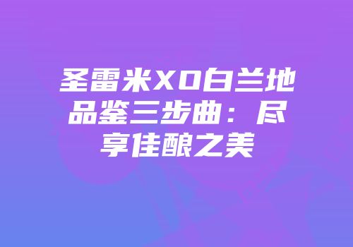 圣雷米XO白兰地品鉴三步曲：尽享佳酿之美