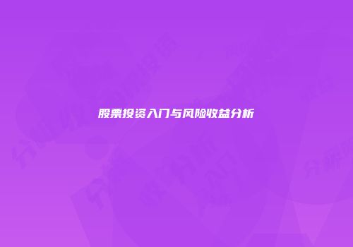 股票投资入门与风险收益分析