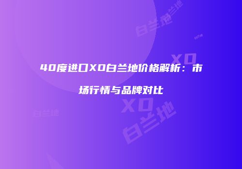 40度进口XO白兰地价格解析：市场行情与品牌对比