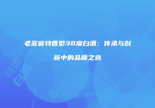 老泥窖特香型38度白酒：传承与创新中的品质之选