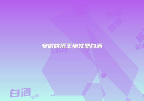 安微皖酒王绵软型白酒