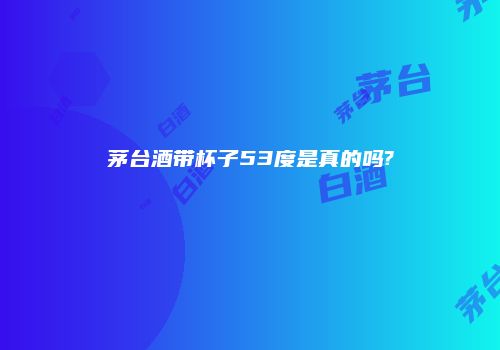 茅台酒带杯子53度是真的吗?
