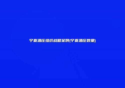 宁夏酒庄组织战略案例(宁夏酒庄数量)