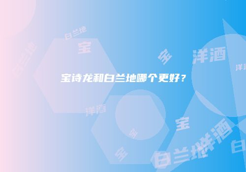 宝诗龙和白兰地哪个更好？