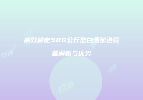 高效稳定500公斤型白酒酿造设备解析与优势