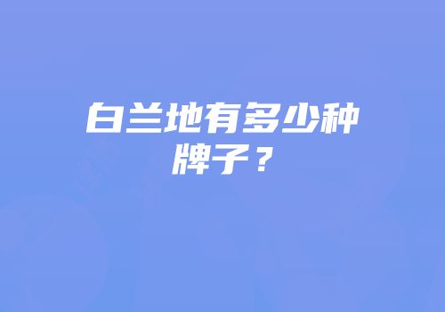 白兰地有多少种牌子？