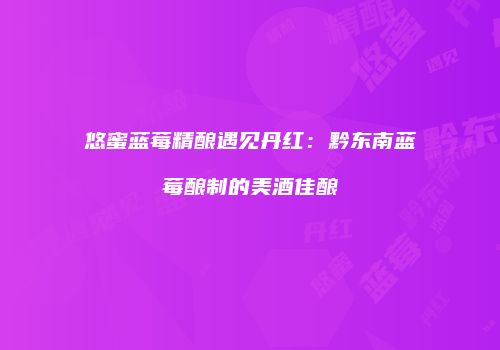悠蜜蓝莓精酿遇见丹红：黔东南蓝莓酿制的美酒佳酿