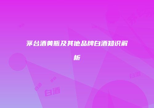 茅台酒黄瓶及其他品牌白酒知识解析