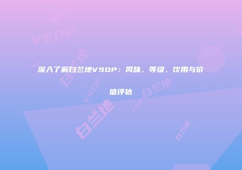 深入了解白兰地VSOP：风味、等级、饮用与价值评估