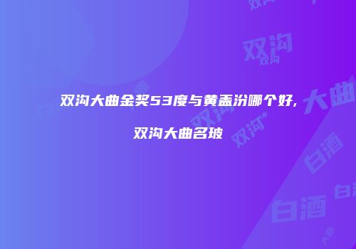 双沟大曲金奖53度与黄盖汾哪个好,双沟大曲名玻