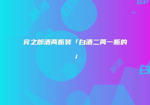宾之郎酒两瓶装「白酒二两一瓶的」