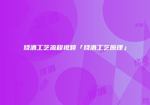 烧酒工艺流程视频「烧酒工艺原理」