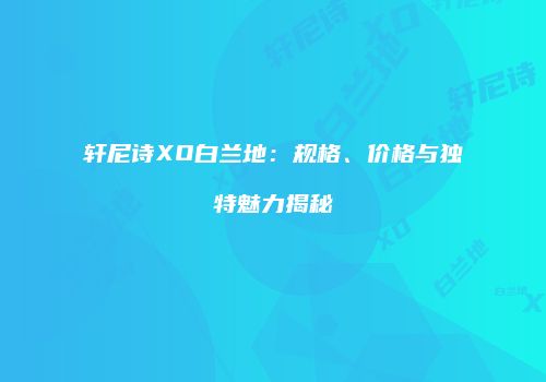 轩尼诗XO白兰地：规格、价格与独特魅力揭秘