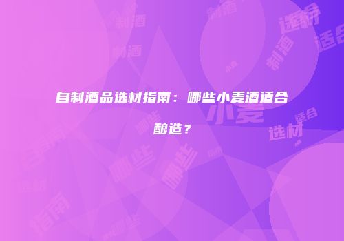 自制酒品选材指南：哪些小麦酒适合酿造？