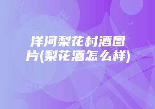 洋河梨花村酒图片(梨花酒怎么样)