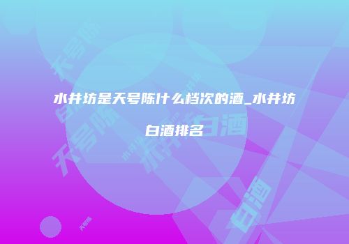 水井坊是天号陈什么档次的酒_水井坊白酒排名