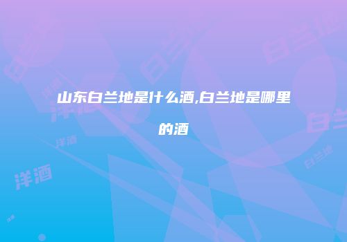 山东白兰地是什么酒,白兰地是哪里的酒