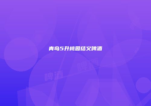 青岛5升桃园结义啤酒