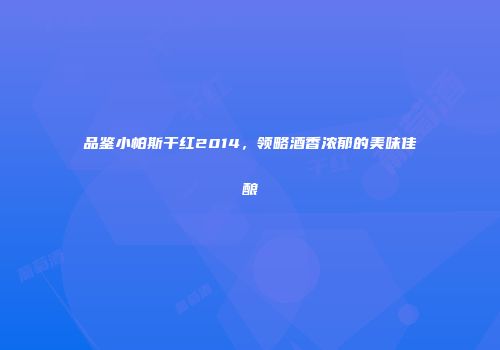 品鉴小帕斯干红2014，领略酒香浓郁的美味佳酿