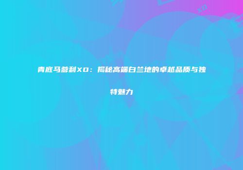 青底马爹利XO：揭秘高端白兰地的卓越品质与独特魅力