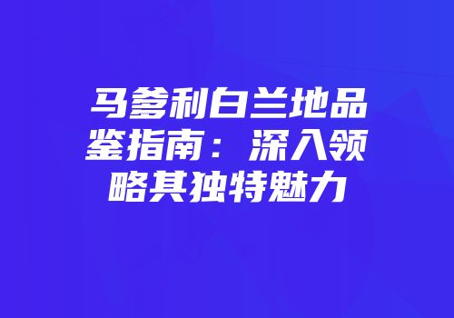马爹利白兰地品鉴指南：深入领略其独特魅力
