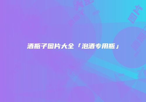 酒瓶子图片大全「泡酒专用瓶」