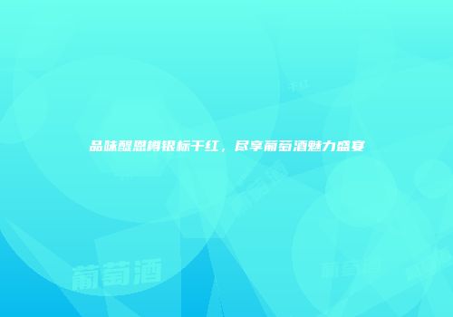 品味醍恩樽银标干红，尽享葡萄酒魅力盛宴