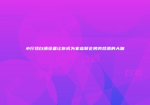 小行烧白酒设备让你成为家庭聚会烤肉烧酒的大咖