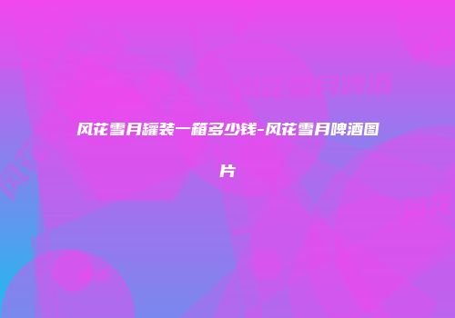 风花雪月罐装一箱多少钱-风花雪月啤酒图片