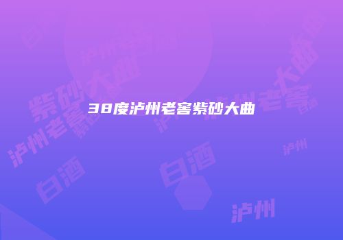 38度泸州老窖紫砂大曲