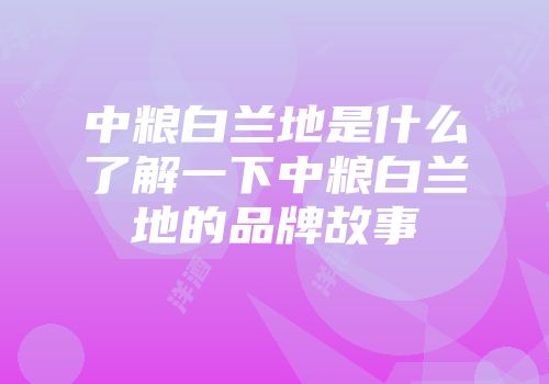中粮白兰地是什么了解一下中粮白兰地的品牌故事