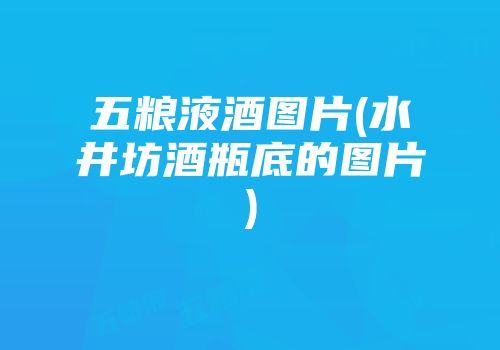 五粮液酒图片(水井坊酒瓶底的图片)