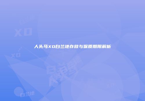 人头马XO白兰地存放与保质期限解析