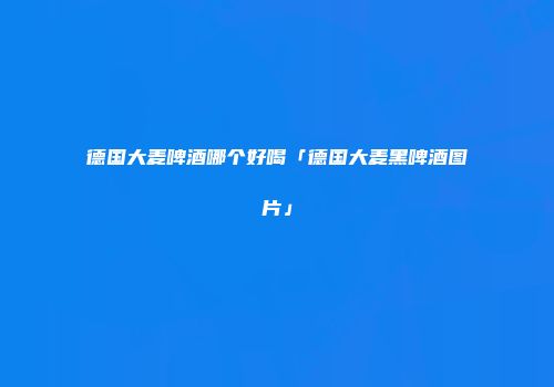 德国大麦啤酒哪个好喝「德国大麦黑啤酒图片」