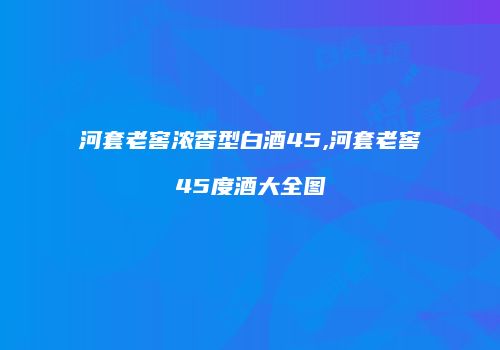 河套老窖浓香型白酒45,河套老窖45度酒大全图