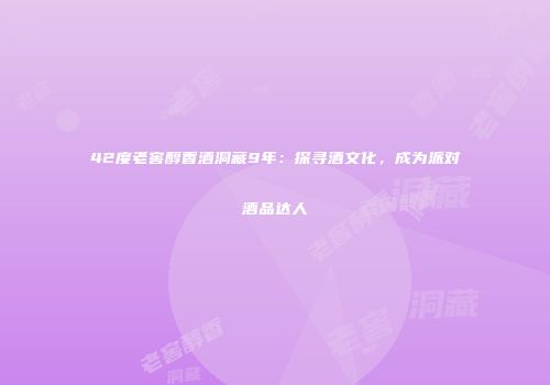 42度老窖醇香酒洞藏9年：探寻酒文化，成为派对酒品达人