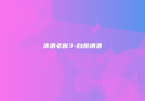 清酒老窖3-自酿清酒